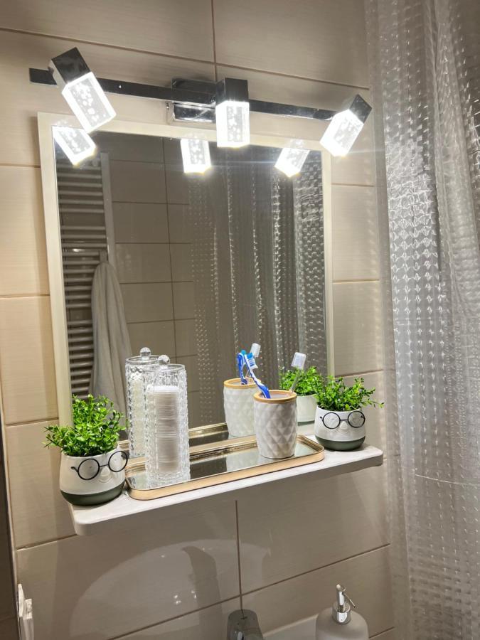Apartment Ayan Sibiu Bagian luar foto
